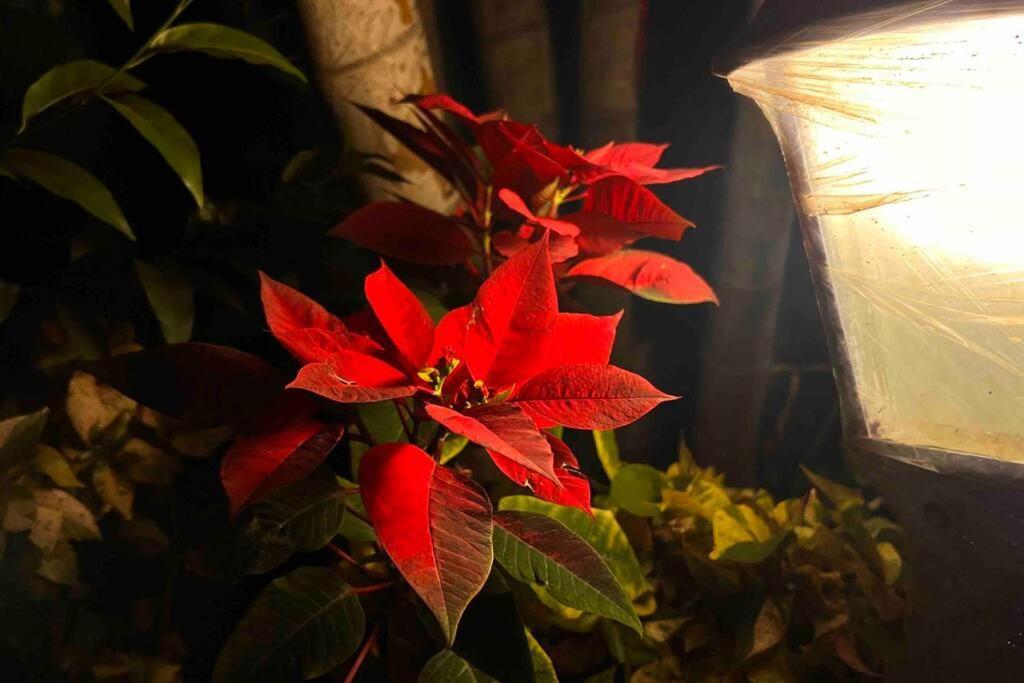 Valecha Villa Entire 4Bhkbunglow With 5000 Sq Ft Garden Lonavala Exteriör bild