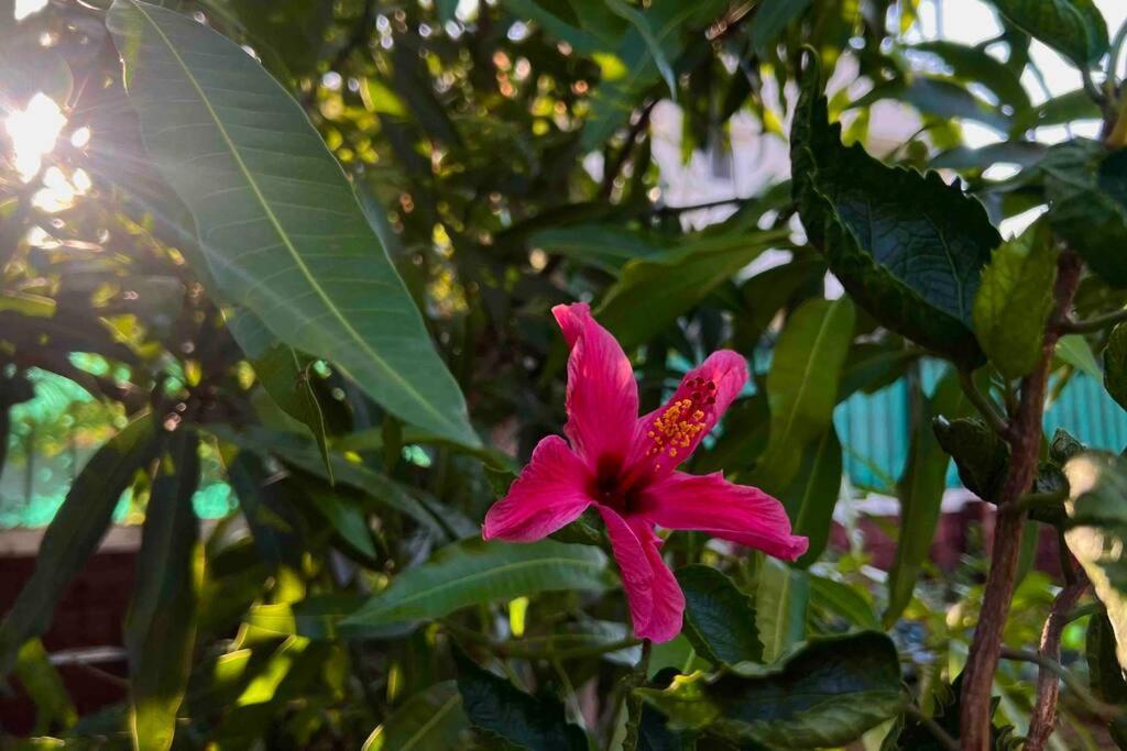 Valecha Villa Entire 4Bhkbunglow With 5000 Sq Ft Garden Lonavala Exteriör bild